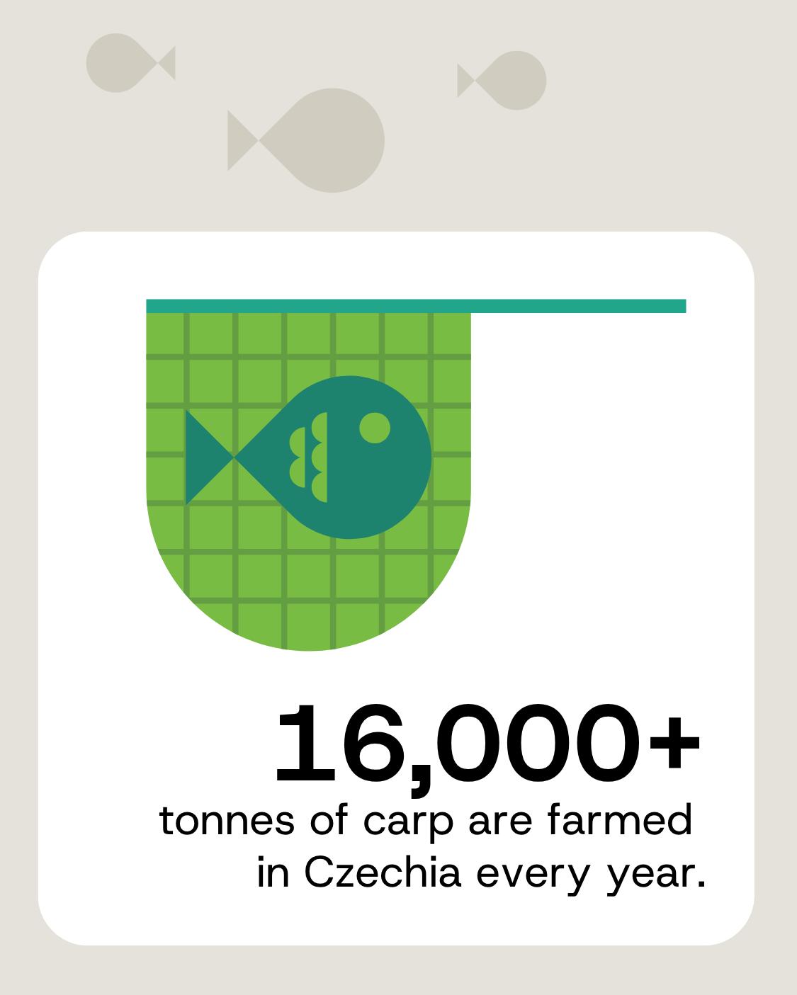 Czechia farms more than 16,000 tonnes of carp a year