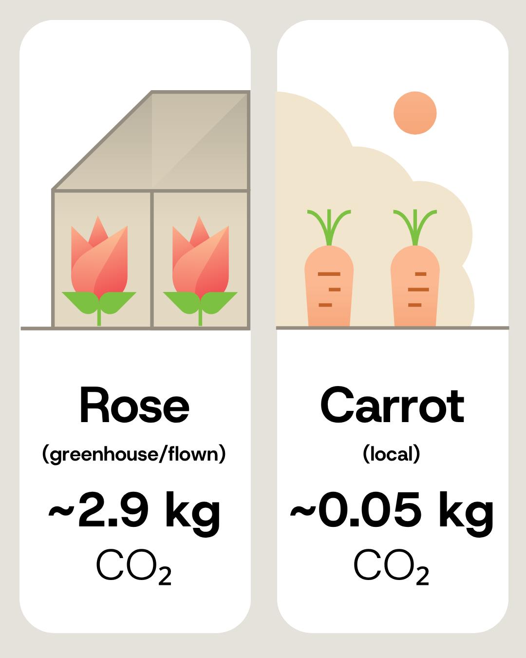 An imported rose costs about 2.9 kg of CO2, a local carrot around 0.05 kg