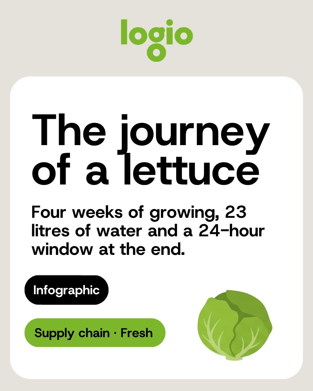 Cover of the lettuce supply chain infographic