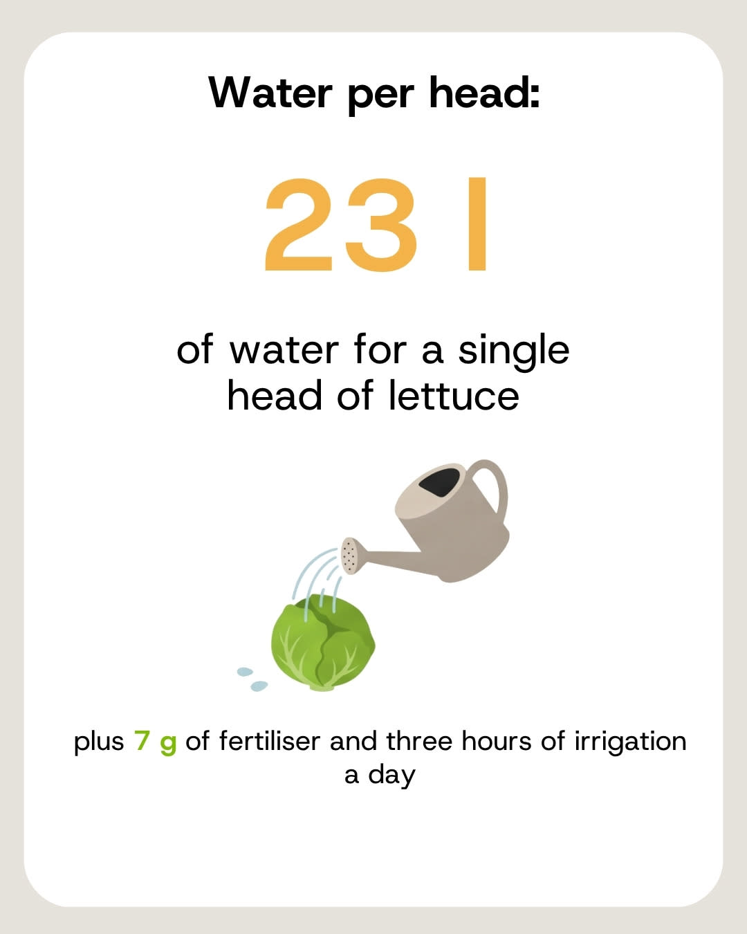One head of lettuce drinks 23 litres of water
