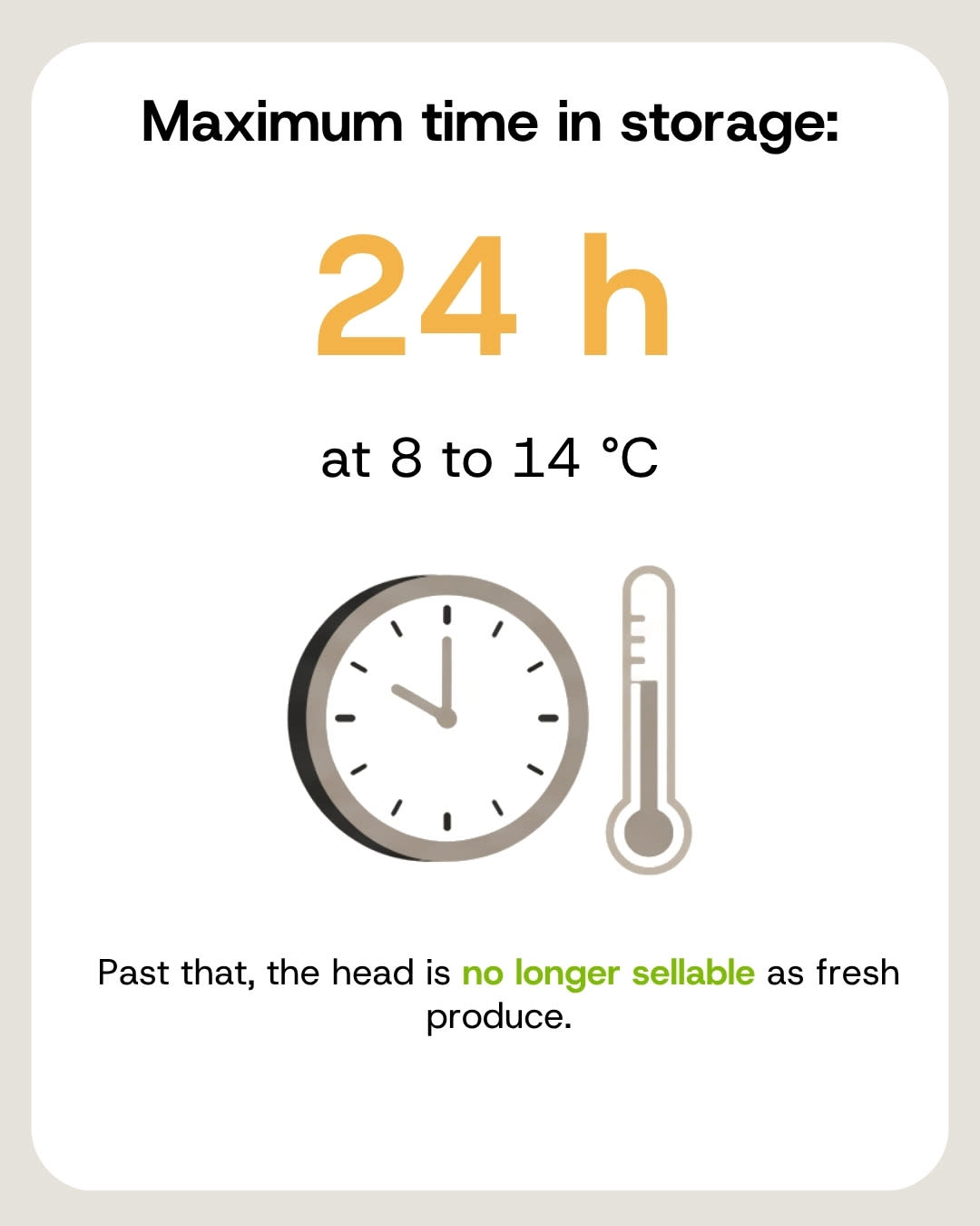 Lettuce may spend at most 24 hours in storage at 8 to 14 degrees