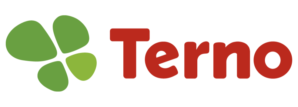 Logo TERNO