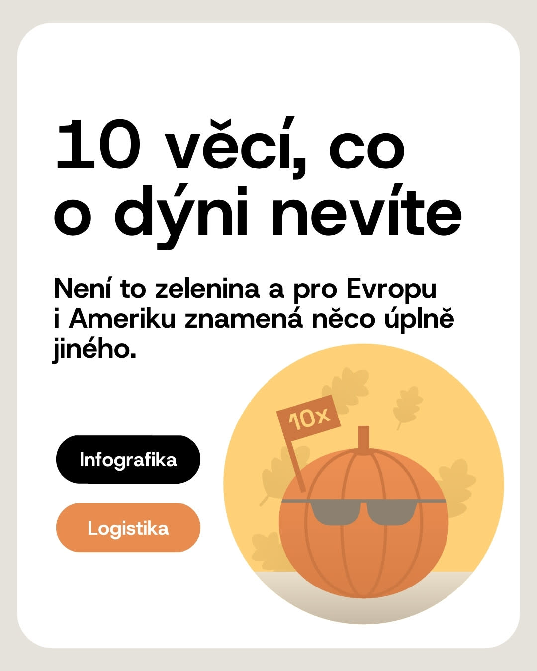 Infografika Logio: 10 věcí, které o dýni nevíte