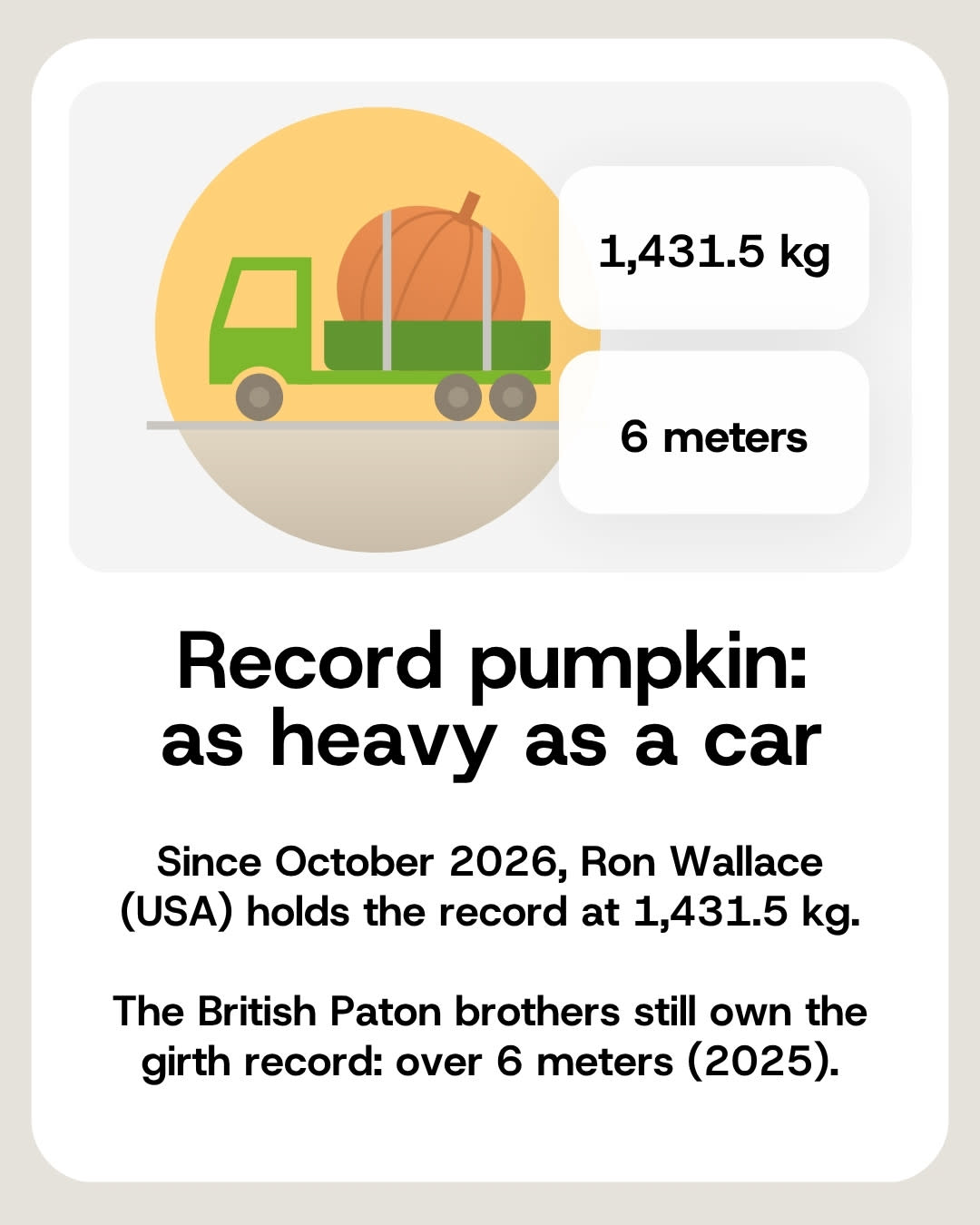 The 2026 record pumpkin weighs 1,431.5 kg; the record circumference is over 6 meters.