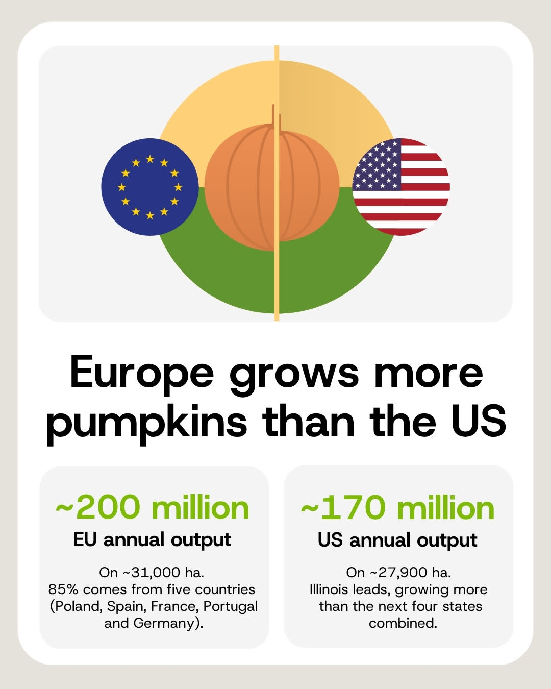 The EU grows about 200 million pumpkins a year, the US about 170 million.