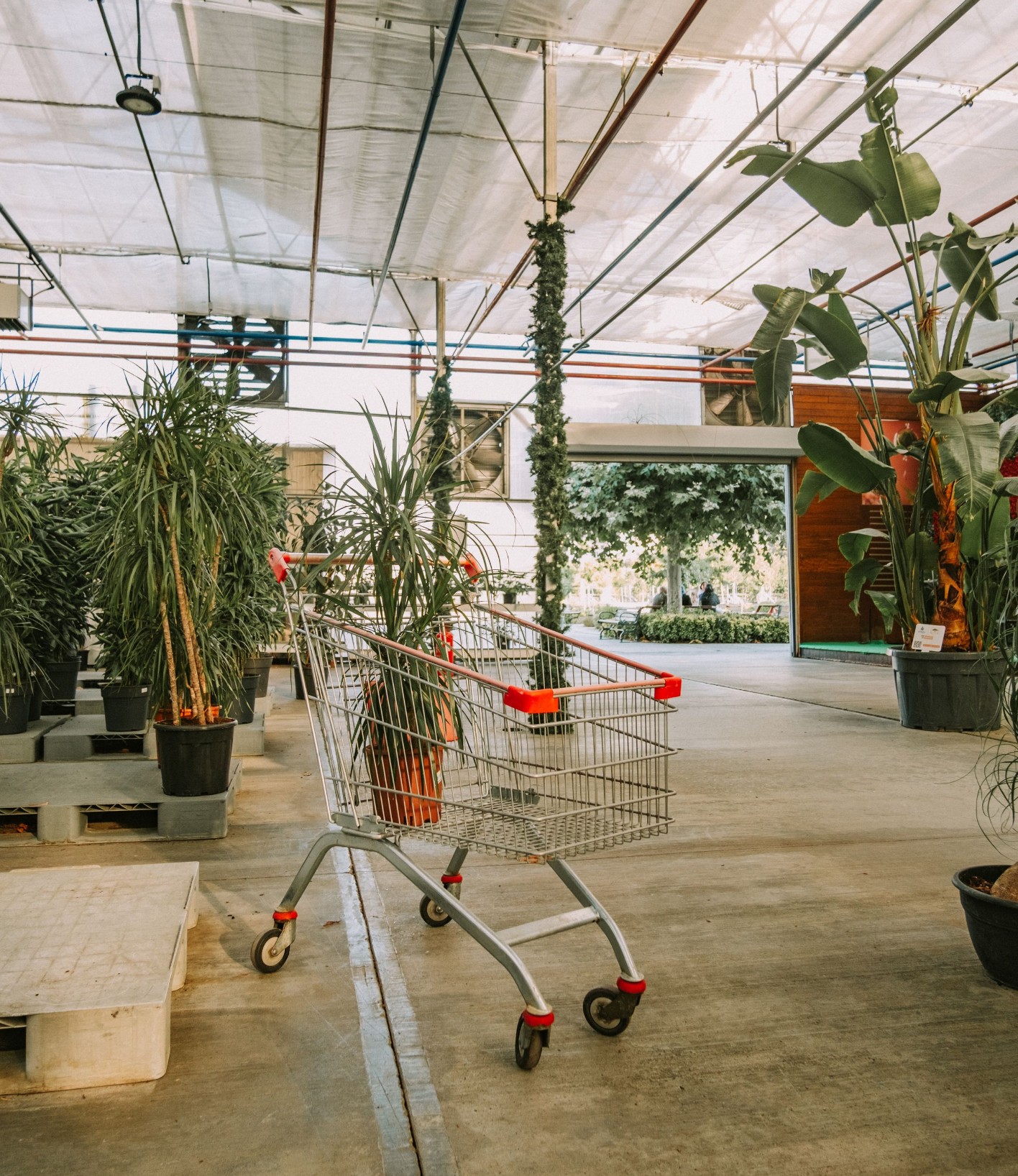 Garden centre with plants and trolley