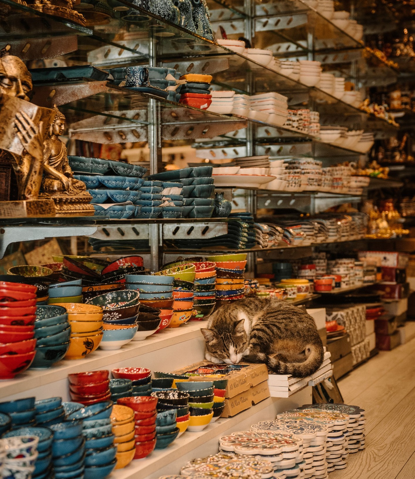 Pet store shelves